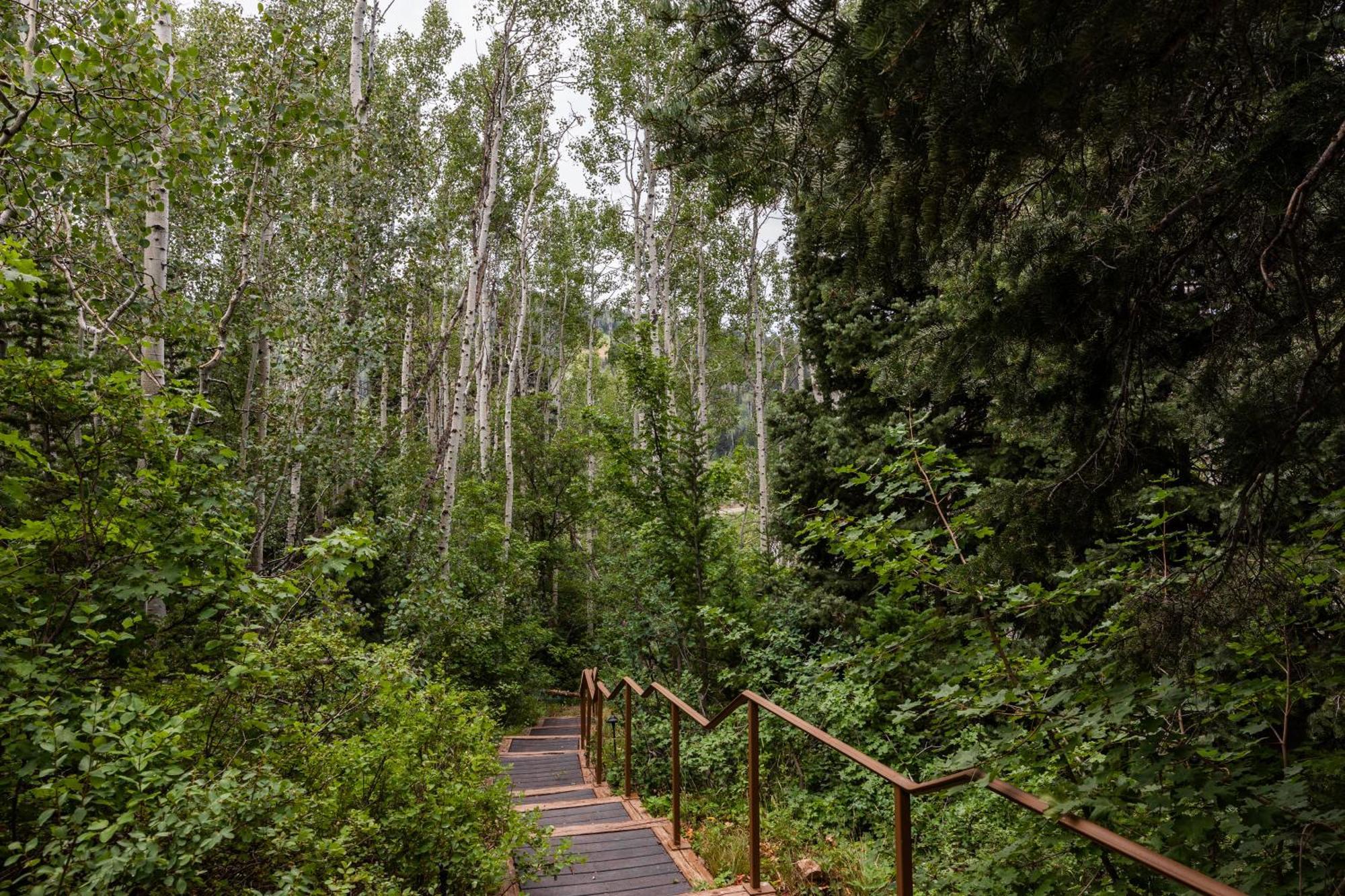 Deer Valley Little Belle Ultimate Ski Getaway, Sleeps 14, Luxury Design, Private Hot Tub, Park City Zewnętrze zdjęcie