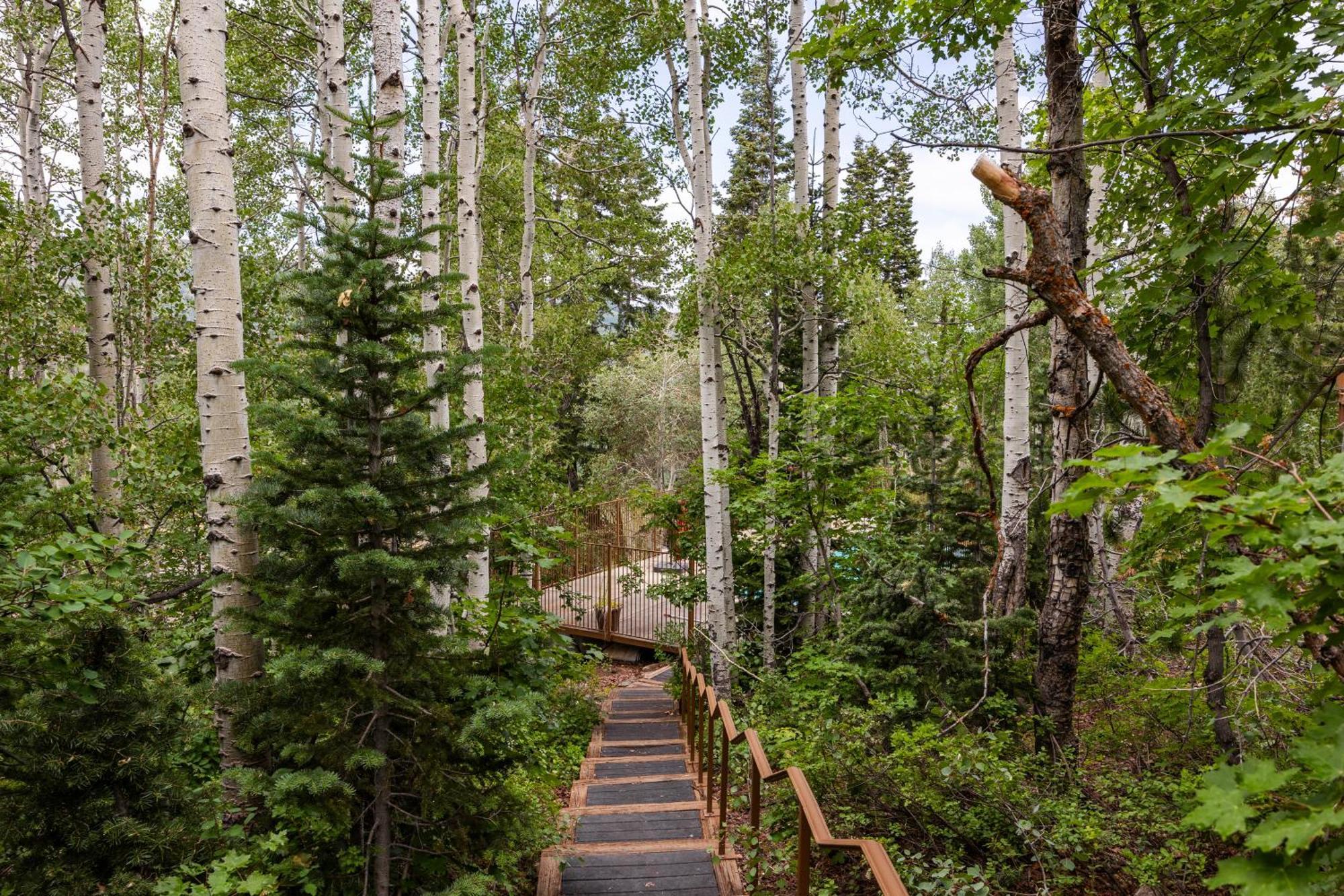 Deer Valley Little Belle Ultimate Ski Getaway, Sleeps 14, Luxury Design, Private Hot Tub, Park City Zewnętrze zdjęcie